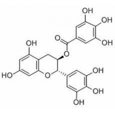 没食子儿茶素没食子酸酯