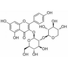 山奈酚3-O-桑布双糖苷