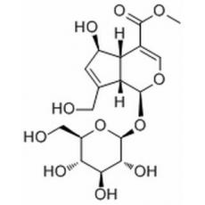 鸡矢藤次苷甲酯