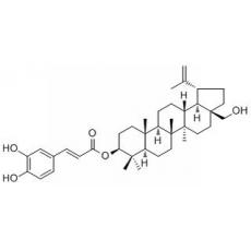 咖啡酸桦木醇酯