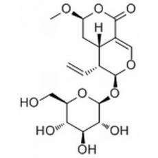 表断马钱子甙半缩醛内酯
