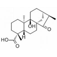 等效-9-羟基-15-氧代-19-异贝壳杉烷酸