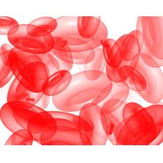 红色荧光蛋白标记人结直肠腺癌细胞；COLO 320DM-RFP